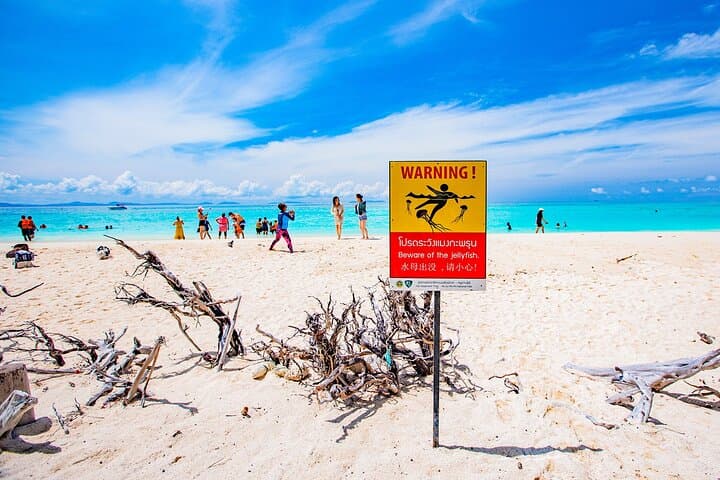 Phi Phi Islands: Full-Day Snorkel, Maya Bay & Viking Cave Tour from Krabi photo 6