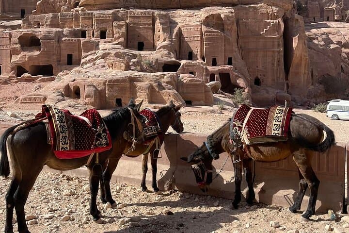 Sleep Inside Petra: Bedouin Cave Homestay & Mule Tour to the Monastery photo 4