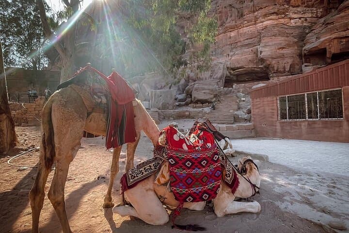 Sleep Inside Petra: Bedouin Cave Homestay & Mule Tour to the Monastery photo 5
