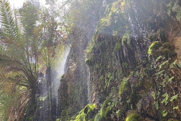 Wadi Tiwi & Bimmah Sinkhole Day Trip: Swim Emerald Pools and Explore Coastal Caves photo 2