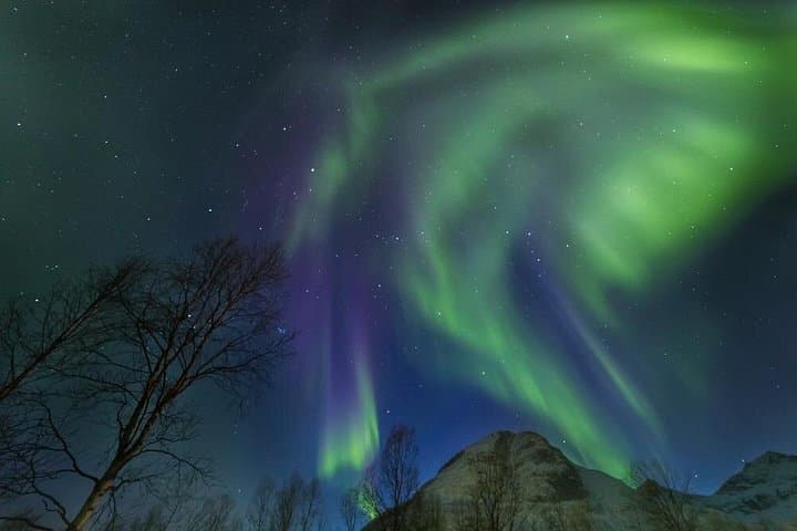 Budget Northern Lights Chase by Bus from Tromsø — Evening Aurora Tour with Photos photo 2