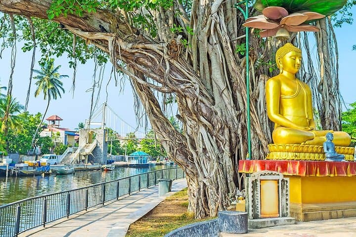 Colombo Private City Tour: Customize Temples, Markets & Colonial Sights photo 5