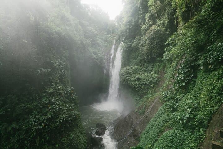Bijagual Waterfall Private Horseback Ride from Jaco photo 3