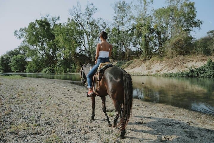 Bijagual Waterfall Private Horseback Ride from Jaco photo 4