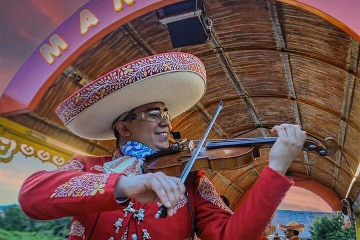 Xoximilco Cancun: Nighttime Trajinera Party with Dinner & Drinks photo 4