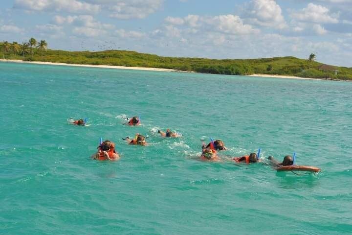 Isla Contoy & Isla Mujeres Day Trip from Cancun — Snorkel Ixlache Reef and Beach Time photo 5