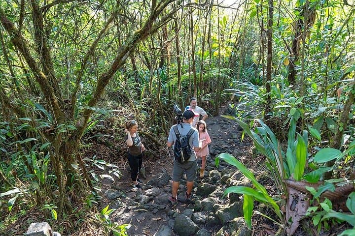 Arenal Volcano River Safari, La Fortuna Waterfall & Volcano Hike photo 3