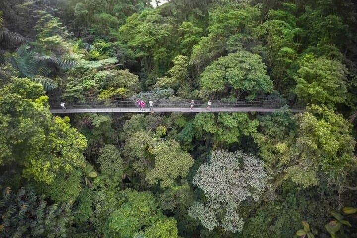 Arenal 2-in-1: Hanging Bridges, Waterfall & Volcano Hike with Hot Springs Option