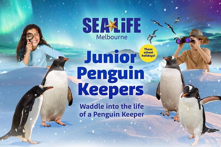 Inside SEA LIFE Melbourne: A 90-Minute Ocean Adventure on the Yarra photo 2