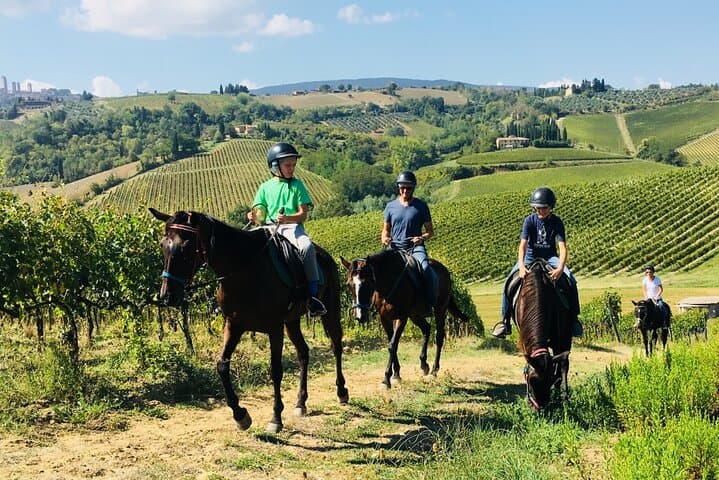 Horseback Riding and Chianti Wine Tasting: Day Tour from Florence photo 3