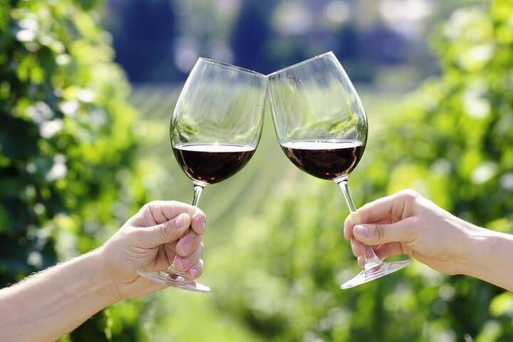 Horseback Riding and Chianti Wine Tasting: Day Tour from Florence photo 4