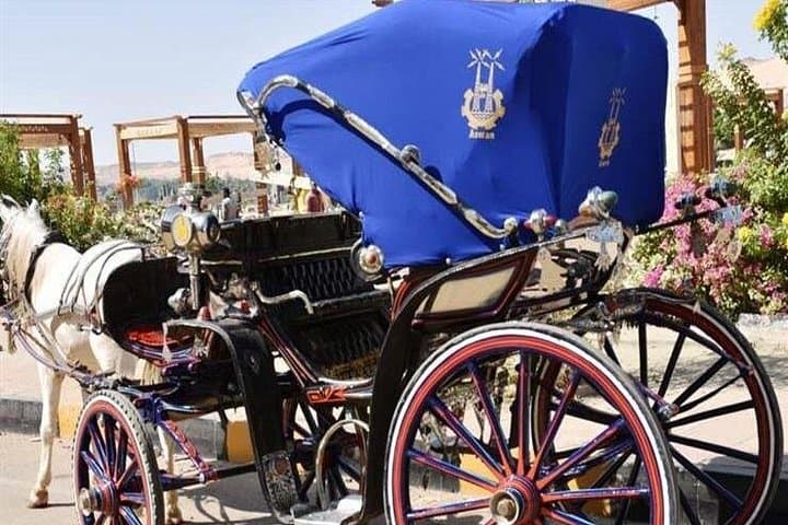Luxor Night Horse Carriage Tour: Evening Ride Along the Nile Corniche photo 3