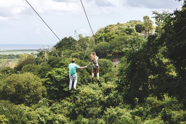 Mauritius Ultimate Day: Swim with Wild Dolphins, Macondé Viewpoint & La Vallée des Couleurs photo 3