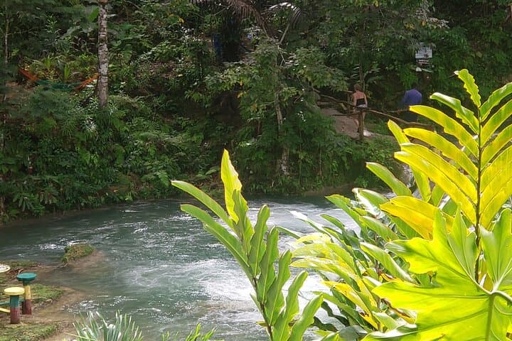 Climb Dunn's River Falls & Swim the Blue Hole: Full-Day Tour from Montego Bay photo 5