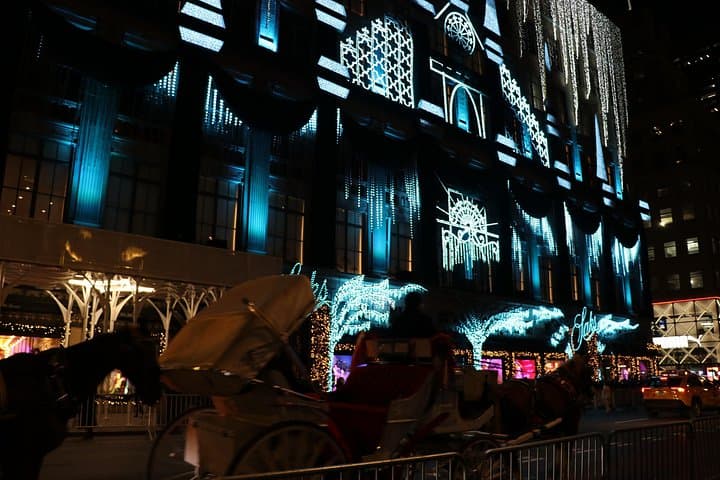 NYC Christmas Lights Private Horse Carriage Ride — Central Park to Rockefeller Center photo 4