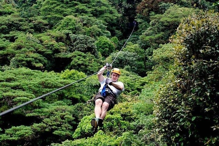 Monteverde Cloud Forest Hanging Bridges, Zipline & Butterfly Garden Adventure