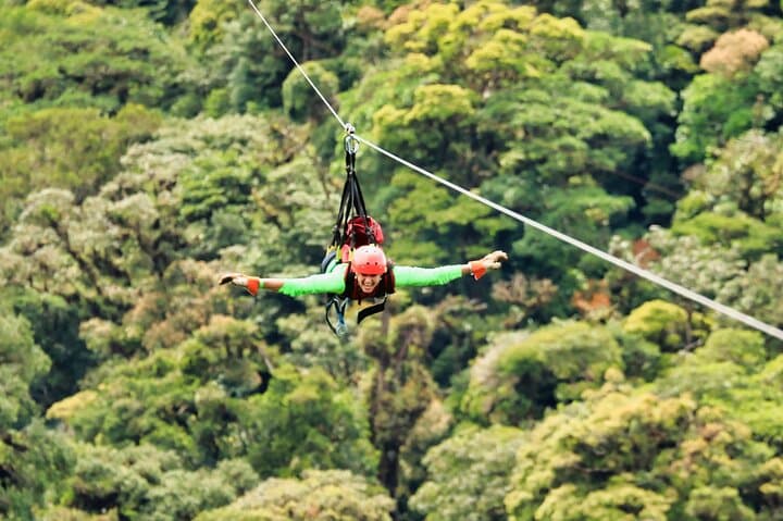 Monteverde Cloud Forest Hanging Bridges, Zipline & Butterfly Garden Adventure photo 3