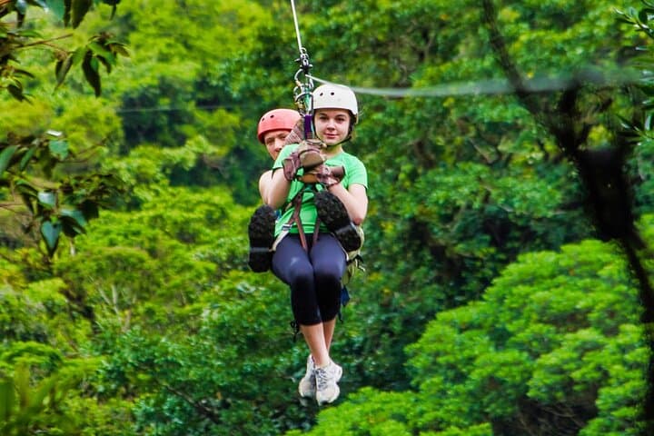 Monteverde Cloud Forest Hanging Bridges, Zipline & Butterfly Garden Adventure photo 4