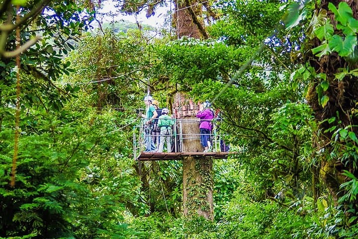 Monteverde Cloud Forest Hanging Bridges, Zipline & Butterfly Garden Adventure photo 5