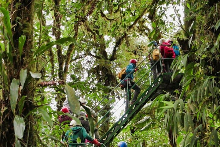 Monteverde Cloud Forest Hanging Bridges, Zipline & Butterfly Garden Adventure photo 6