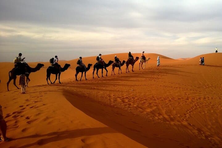 Dubai Morning Desert Safari: Dune Bashing, Sandboarding & Camel Ride photo 5