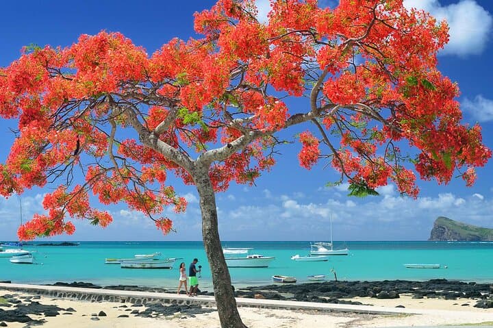 Explore Mauritius Your Way: Full-Day Private Car Hire with Driver (8 Hours) photo 2