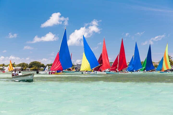 Explore Mauritius Your Way: Full-Day Private Car Hire with Driver (8 Hours) photo 6