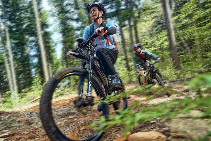eMTB to Mt. Omine: Summit Views of the Seto Inland Sea