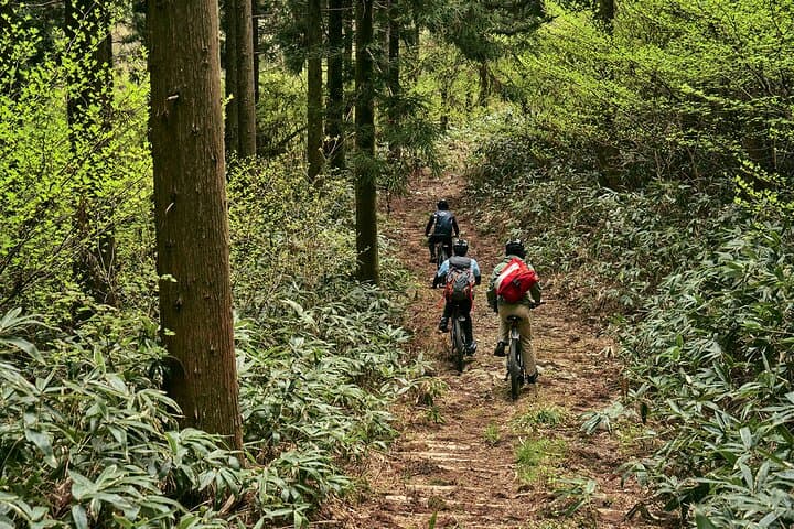 eMTB to Mt. Omine: Summit Views of the Seto Inland Sea photo 2