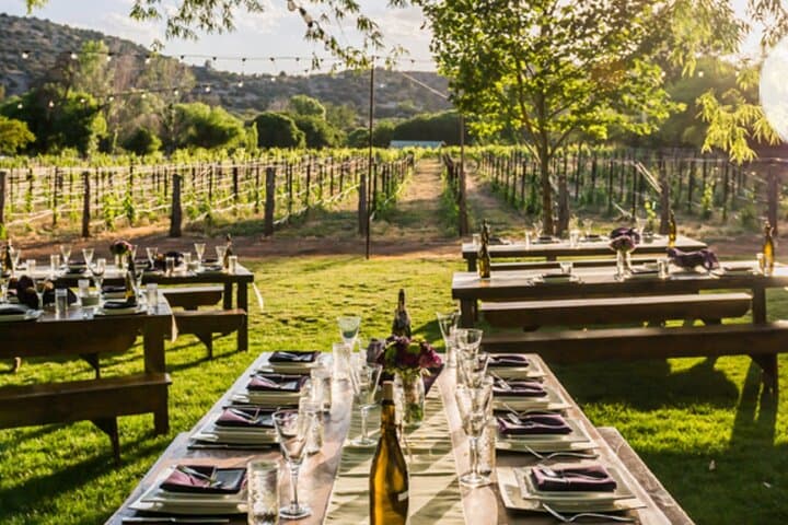 Sedona Vortex to Vineyards: Wine, Vortex Energy & Page Springs with Rachel Reenstra photo 4
