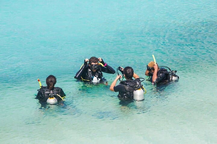 Koh Tao & Koh Nang Yuan Speedboat Day Trip: Snorkel the Coral Gardens and Hike the Sandbar Viewpoint photo 5