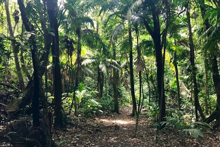 Arenal Volcano & Baldi Hot Springs Private Day Tour from San José photo 5