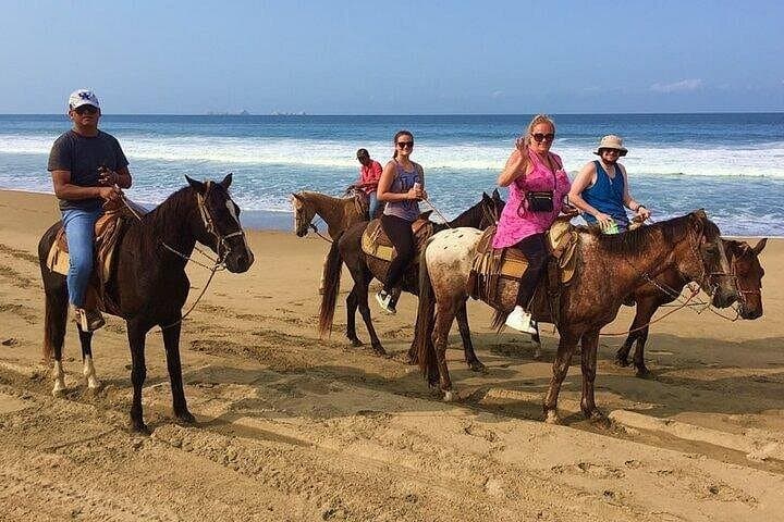 Horseback Riding Playa Larga: Beach & Coconut Grove Ride near Zihuatanejo photo 2