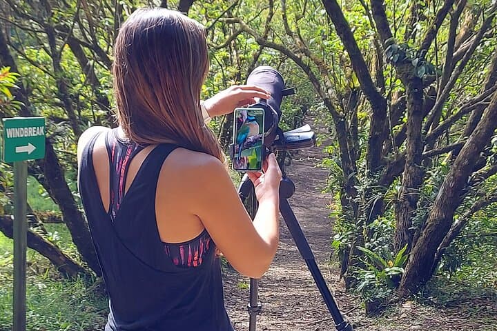 Monteverde Birdwatching Experience: Guided Morning Tour in Curi-Cancha Reserve photo 2
