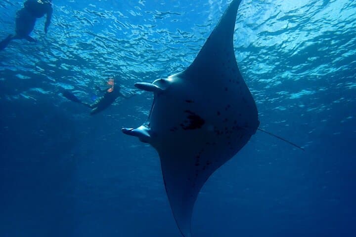 Bora Bora Private Dream Day: Reef Snorkel, Motu Lunch & Sunset Cruise photo 2