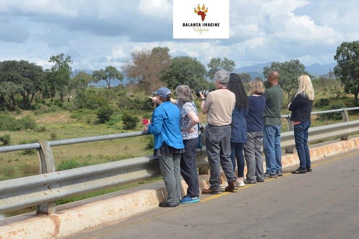 7-Day Kruger Safari South to North: Full-Park Wildlife Adventure photo 1