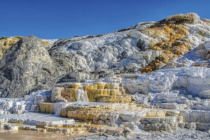 Yellowstone Winter Wolf & Wildlife Private Tour from Gardiner, MT photo 6