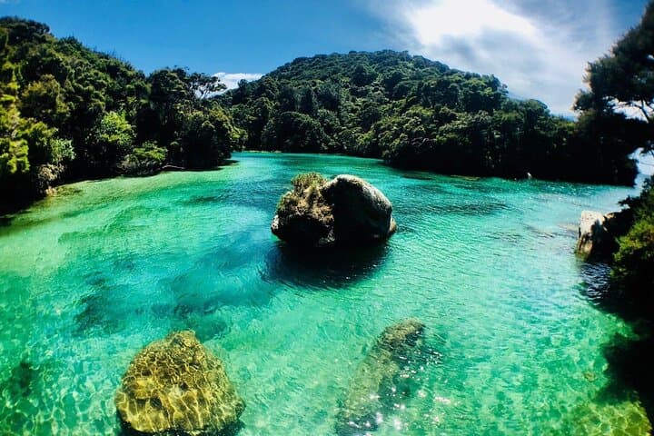 Two Gods Guided Kayak and Unguided Walk in Abel Tasman National Park photo 2
