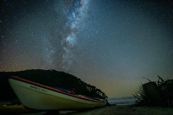 Three-Day Classic Kayaking in Abel Tasman National Park photo 5