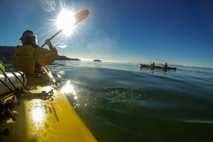 Full-Day Freedom Kayak Rental: Abel Tasman from Marahau photo 5