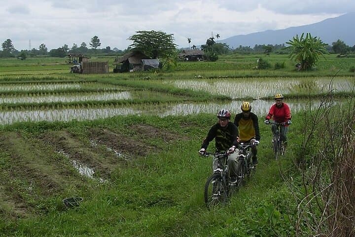 Chiang Mai Rice Fields Biking Tour in the Mae Ping Valley photo 3