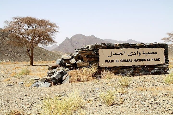 Wadi El Gamal Safari from Marsa Alam: Day Trip into Egypt's Valley of the Camels