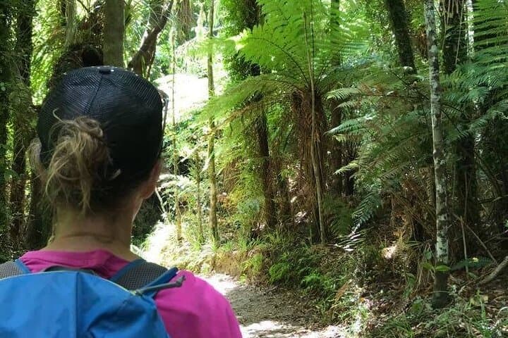 Abel Tasman: 3-Day Kayak and Walk from Marahau to Totaranui photo 2