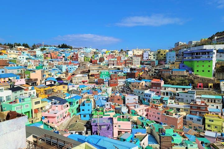 Gamcheon Culture Village & Jagalchi Fish Market Storytelling Tour — Busan Half-Day Walking Experience