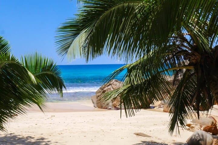 Private Island Discovery Tour in Seychelles — Mahe Highlights and Hidden Sights photo 2