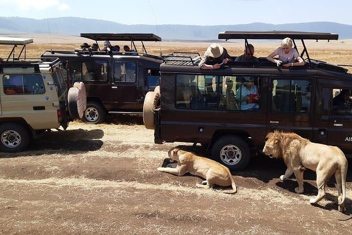Ngorongoro Crater Safari & Mandara Hut Day Hike — 2-Day Midrange Lodge Adventure photo 3