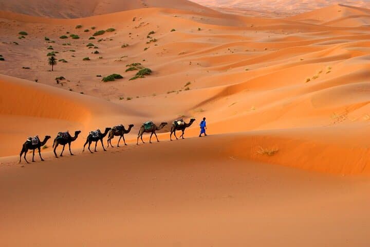 2 Nights in Merzouga Desert: Camel Trek, Erg Chebbi Sunrise & Berber Camp photo 2