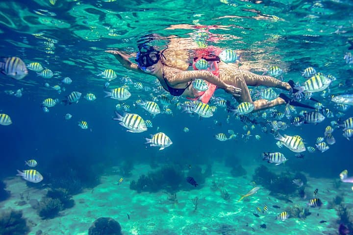 Drive a Speedboat to Punta Nizuc and Snorkel Cancun's Underwater Museum photo 3