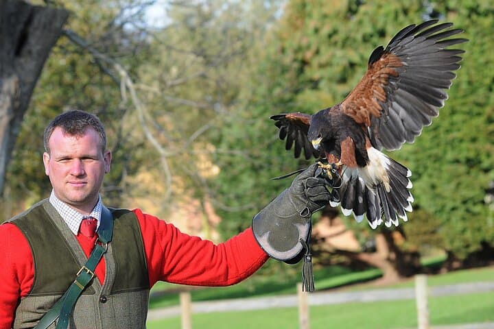 Leeds Castle Ultimate Explorer: 12th-Century Castle, Gardens & Falconry Tickets photo 3