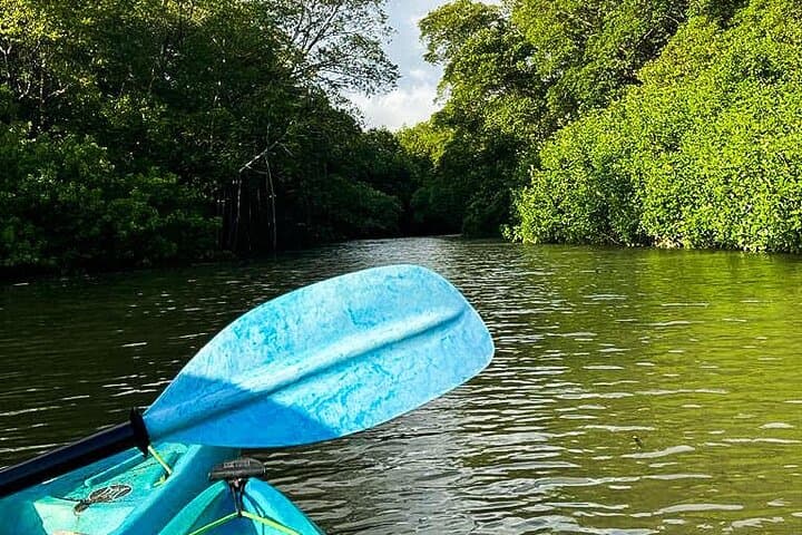 Sunrise Kayak Through Guanacaste Mangroves to a Secluded Black‑Sand Beach